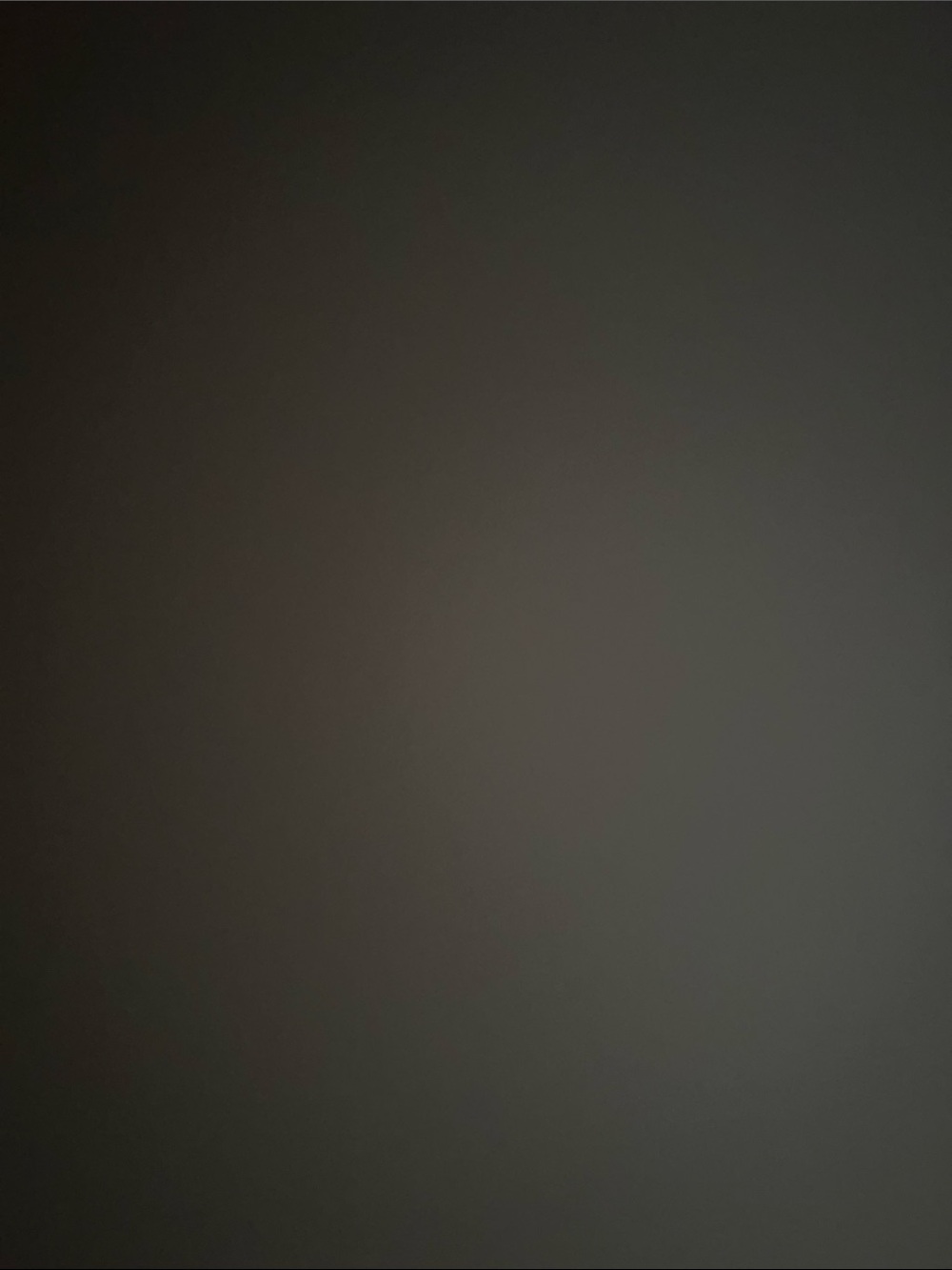 Neutral Gray Item
